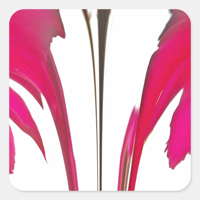 Adesivo Quadrado Rosa vermelha fantástica do chic sob o céu branco. (Frente)