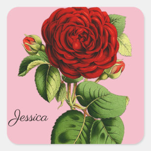Adesivo Quadrado Rosa vermelha Vintage com seu nome
