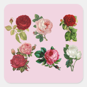 Adesivo Quadrado rosas de galos