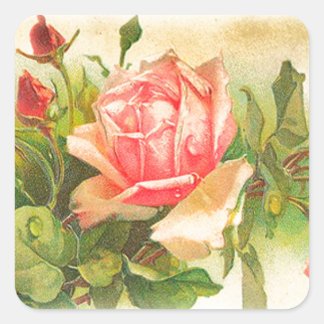 Adesivo Quadrado Rosas no Bloom