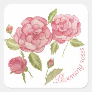 Adesivo Quadrado Rosas rosa lápis de desenho manual T-Shirt Cushion