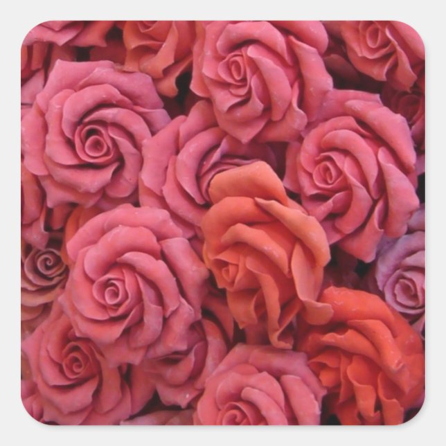 Adesivo Quadrado Rosas rosadas (Frente)