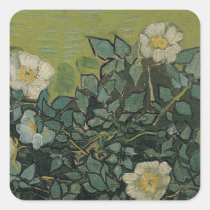 Adesivo Quadrado Rosas selvagens de Vincent van Gogh