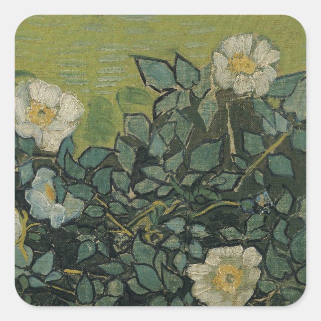Adesivo Quadrado Rosas selvagens de Vincent van Gogh (Frente)