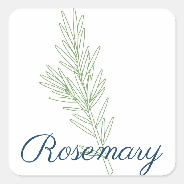Adesivo Quadrado Rosemary Plant (Frente)
