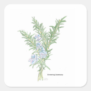 Adesivo Quadrado Rosemary Sticker