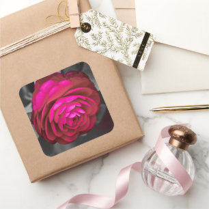 Adesivo Quadrado Rosy Camellia