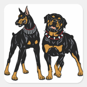 Adesivo Quadrado rottweiler e doberman