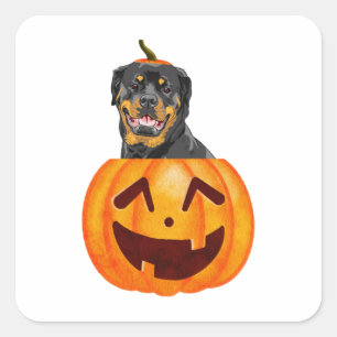 Adesivo Quadrado Rottweiler Halloween
