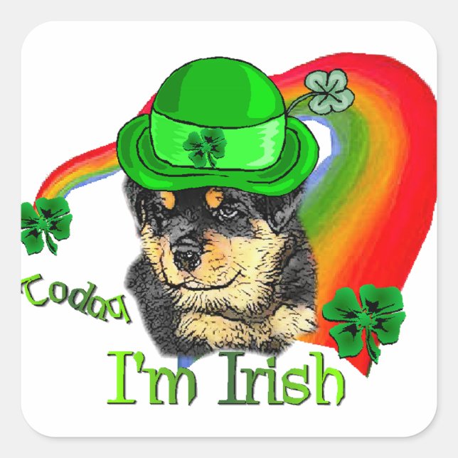 Adesivo Quadrado Rottweiler - Ruas de papoila (Frente)