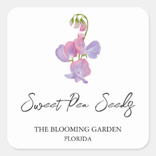 Adesivo Quadrado Rótulo das sementes de ervilha doce