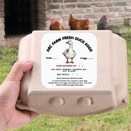 Adesivo Quadrado rótulo de ovo de pato fda de Indiana