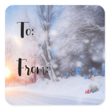 Rótulo de Vinheta na Praça do Natal Sunny Winter D