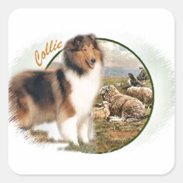 Adesivo Quadrado Rough Collie Keeper da ovelha