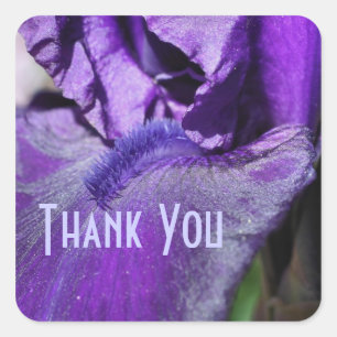 Adesivo Quadrado Roxo Iris Flor Petal Obrigado Sticker