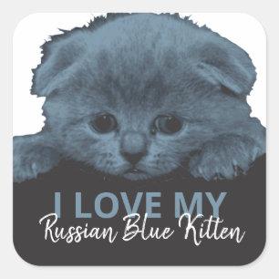 Adesivo Quadrado Russo Blue Kitten