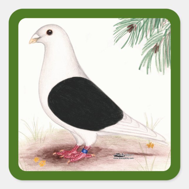 Adesivo Quadrado Saddle Homer Pigeon (Frente)