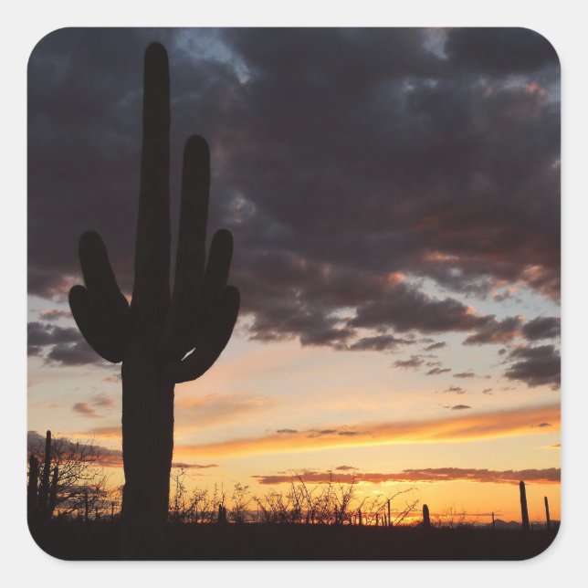 Adesivo Quadrado Saguaro Sunset III Arizona Desert Landscape (Frente)