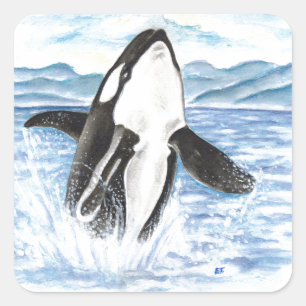 Adesivo Quadrado Salsa de Orca de Quebra de Aquarela