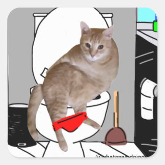 Adesivo Quadrado Sam Le Cat Privacy Por Favor