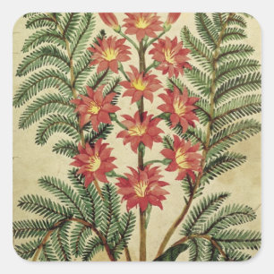 Adesivo Quadrado Samambaia com as flores vermelhas e amarelas
