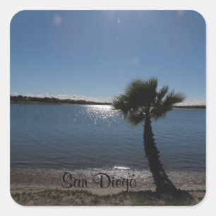 Adesivo Quadrado San Diego Palm Tree Sticker
