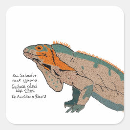 Adesivo Quadrado San Salvador Rock Iguana Sticker