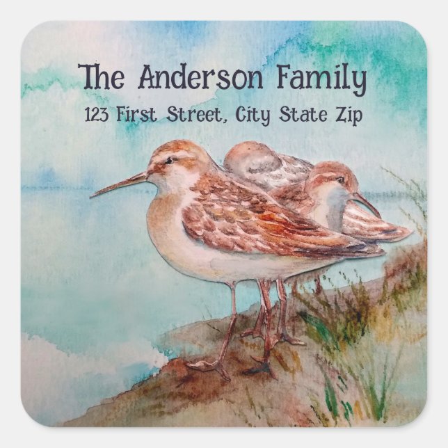 Adesivo Quadrado Sandpiper de Aquarela Arte Natureza de Aves Aquáti (Frente)