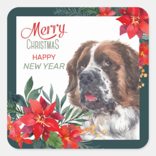 Adesivo Quadrado Santo Bernard Dog Poinsettia Fronteira Natal 
