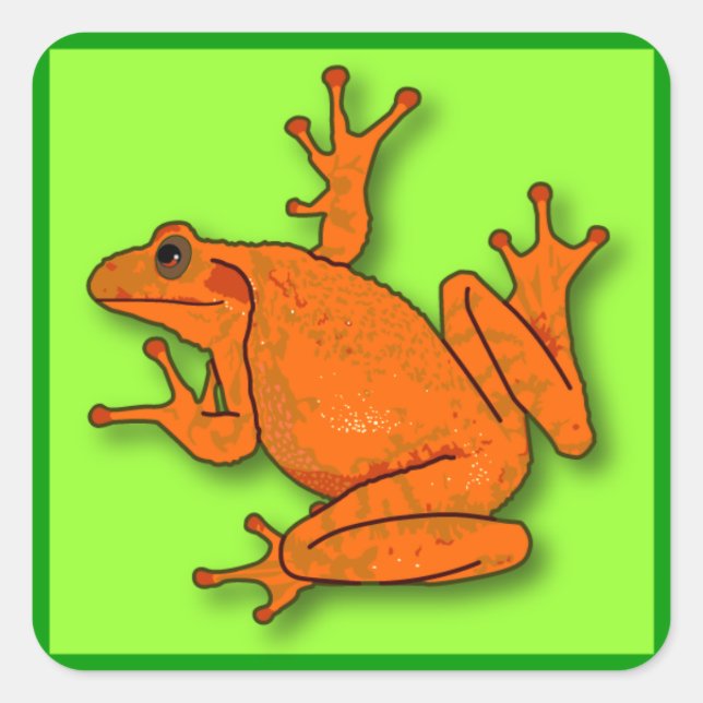 Adesivo Quadrado Sapo de cor laranja quadrada (Frente)