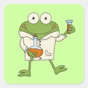 Adesivo Quadrado Sapo de laboratório