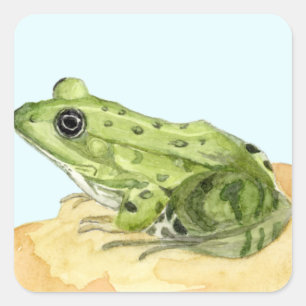 Adesivo Quadrado Sapo Verde