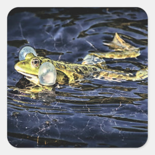 Adesivo Quadrado Sapo Verde na Lança