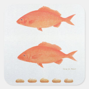 Adesivo Quadrado Saques cinco mil 2005