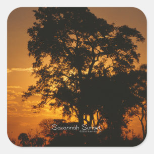 Adesivo Quadrado Savannah Sunset
