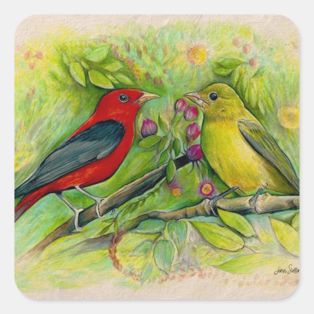Adesivo Quadrado Scarlet Tanagers Bird Art (Frente)
