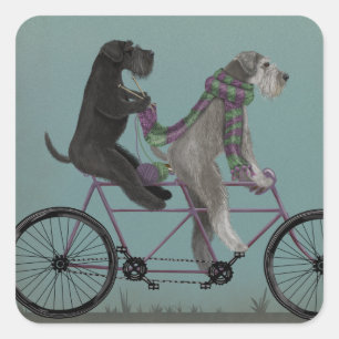 Adesivo Quadrado Schnauzer Tandem