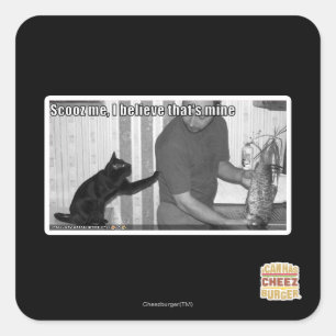 Adesivo Quadrado Scooz me, acredito que é meu