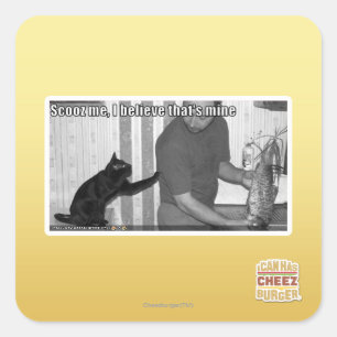 Adesivo Quadrado Scooz me, acredito que é meu