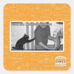 Adesivo Quadrado Scooz me, acredito que é meu