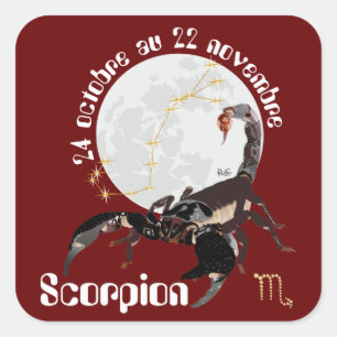 Adesivo Quadrado Scorpion 24 22 Autocollant octobre au novembre
