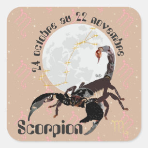 Adesivo Quadrado Scorpion 24 22 Autocollant octobre au novembre