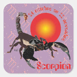 Adesivo Quadrado Scorpion 24 22 Autocollant octobre au novembre
