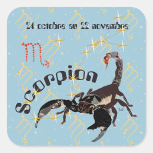 Adesivo Quadrado Scorpion 24 22 Autocollant octobre au novembre