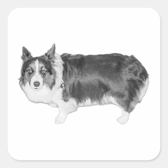 Adesivo Quadrado Scout de snack certificado (Frente)