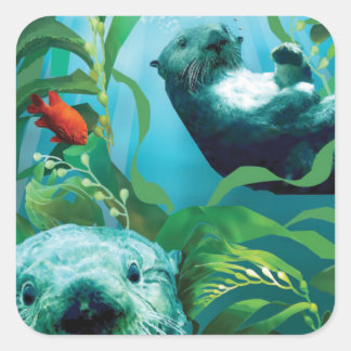 Adesivo Quadrado Sea Otter's Garden Square Sticker