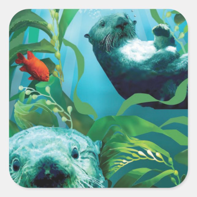 Adesivo Quadrado Sea Otter's Garden Square Sticker (Frente)