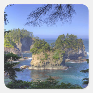 Adesivo Quadrado Seastacks, Terras Tribais Makah Nation, Cabo