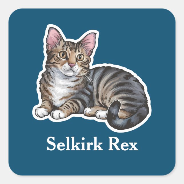 Adesivo Quadrado Selkirk Rex (Frente)