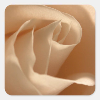 Adesivo Quadrado Selo de Envelope Rosa de Casamento com Creme Rústi